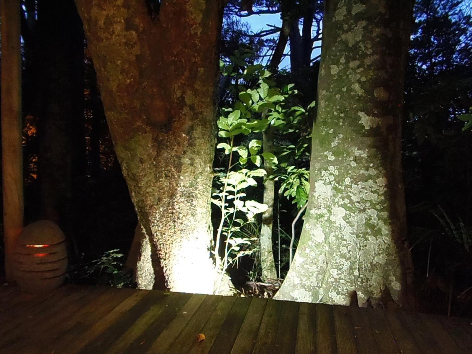 Nikau Sanctuary Raglan Exterior foto